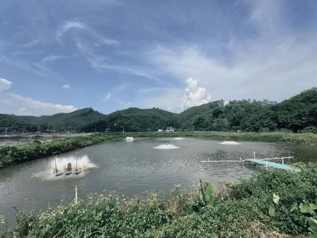 中医水产外感病害与内伤病害辩证对比示意图