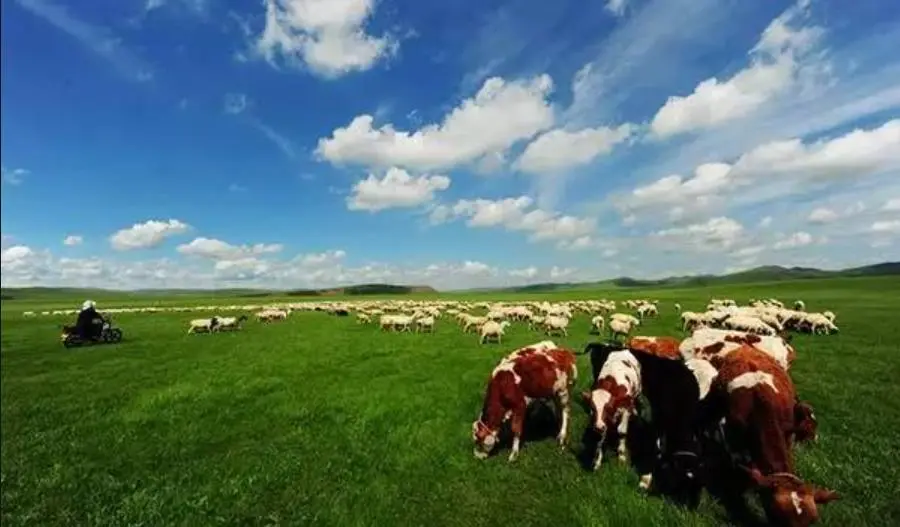 河南奶山羊品种资源与开发利用